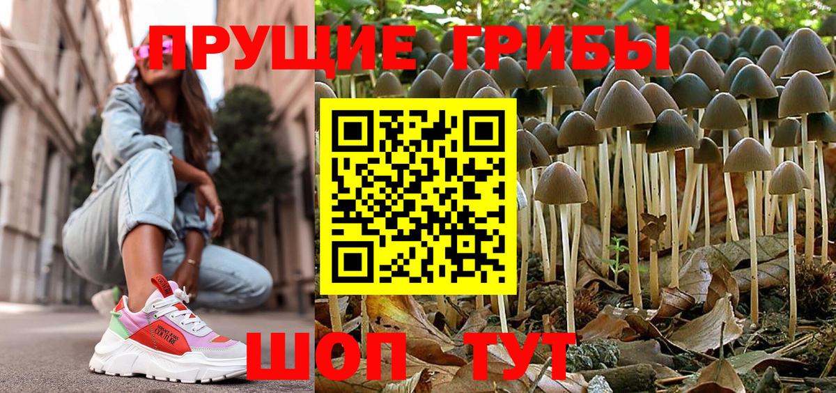 Галлюциногенные грибы MAGIC MUSHROOMS Мирный
