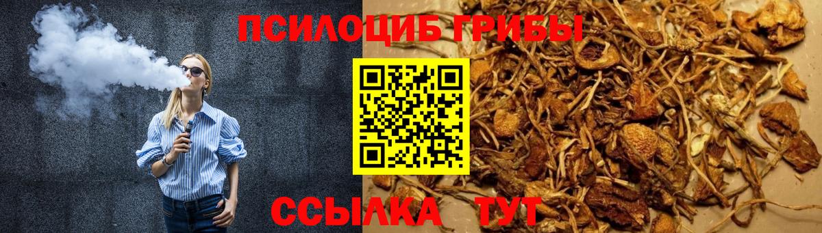 Псилоцибиновые грибы прущие грибы  Вход с VPN  Мирный 